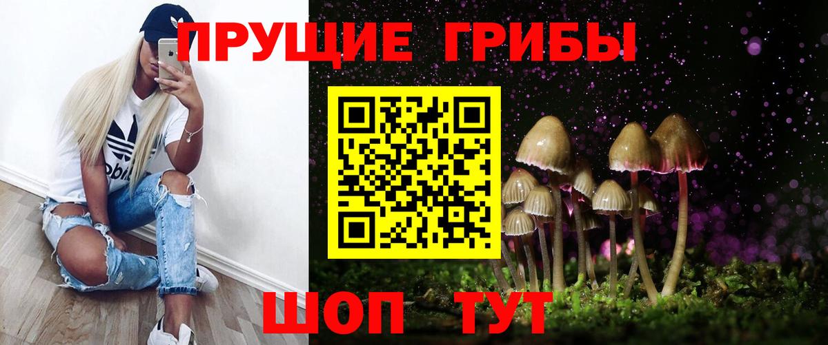 Галлюциногенные грибы Psilocybe Карпинск